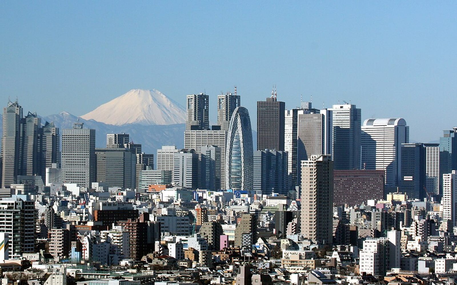 Study in Japan